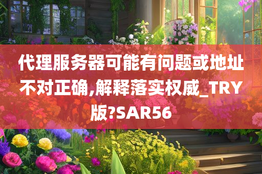 代理服务器可能有问题或地址不对正确,解释落实权威_TRY版?SAR56