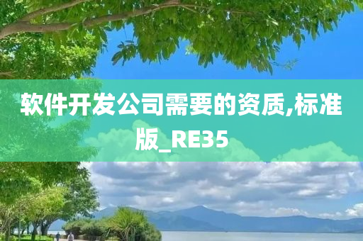 软件开发公司需要的资质,标准版_RE35