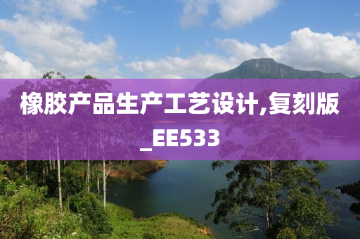 橡胶产品生产工艺设计,复刻版_EE533