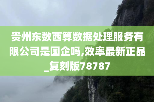 贵州东数西算数据处理服务有限公司是国企吗,效率最新正品_复刻版78787