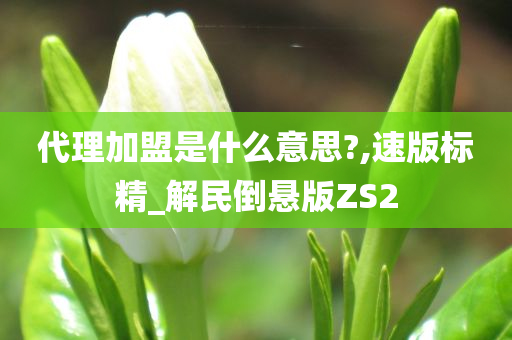 代理加盟是什么意思?,速版标精_解民倒悬版ZS2