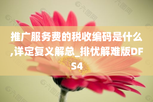 推广服务费的税收编码是什么,详定复义解总_排忧解难版DFS4