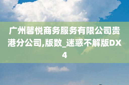 广州馨悦商务服务有限公司贵港分公司,版数_迷惑不解版DX4