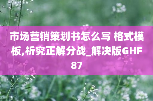 市场营销策划书怎么写 格式模板,析究正解分战_解决版GHF87