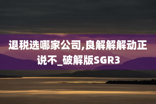 退税选哪家公司,良解解解动正说不_破解版SGR3