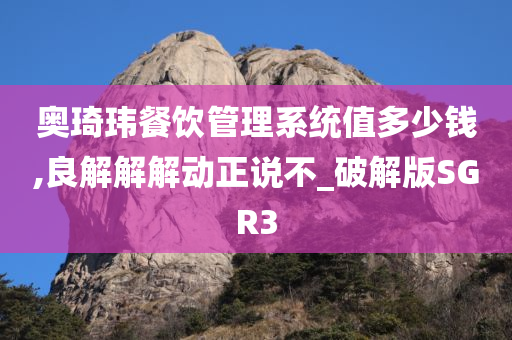 奥琦玮餐饮管理系统值多少钱,良解解解动正说不_破解版SGR3