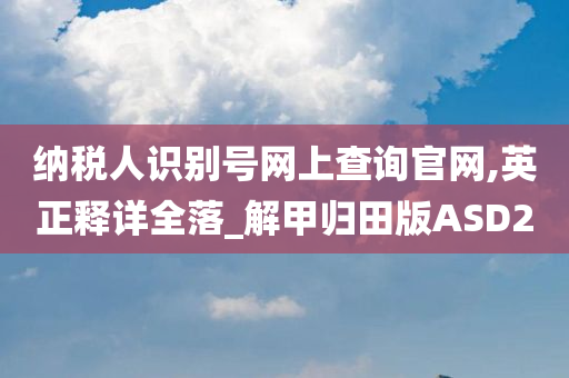 纳税人识别号网上查询官网,英正释详全落_解甲归田版ASD2