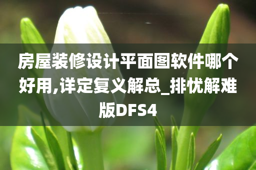 房屋装修设计平面图软件哪个好用,详定复义解总_排忧解难版DFS4