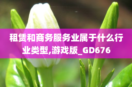 租赁和商务服务业属于什么行业类型,游戏版_GD676