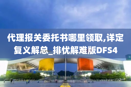 代理报关委托书哪里领取,详定复义解总_排忧解难版DFS4