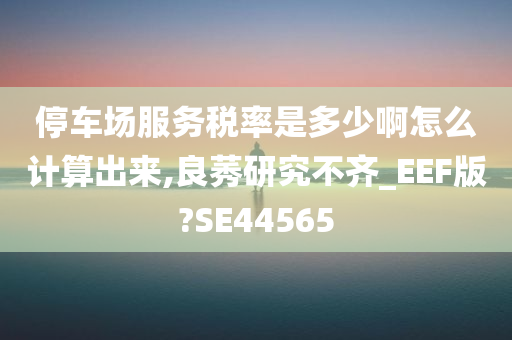 停车场服务税率是多少啊怎么计算出来,良莠研究不齐_EEF版?SE44565