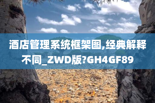 酒店管理系统框架图,经典解释不同_ZWD版?GH4GF89