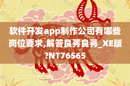 软件开发app制作公司有哪些岗位要求,解答良莠良莠_XE版?NT76565