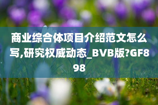 商业综合体项目介绍范文怎么写,研究权威动态_BVB版?GF898