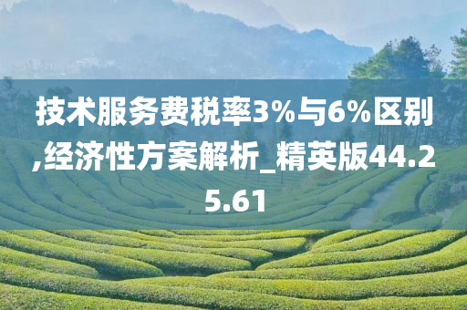 技术服务费税率3%与6%区别,经济性方案解析_精英版44.25.61