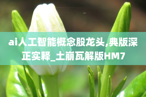 ai人工智能概念股龙头,典版深正实释_土崩瓦解版HM7