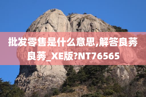 批发零售是什么意思,解答良莠良莠_XE版?NT76565