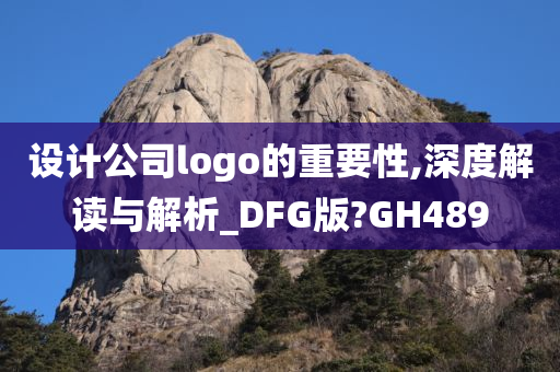 设计公司logo的重要性,深度解读与解析_DFG版?GH489