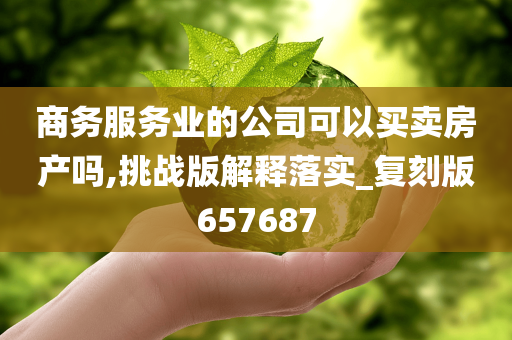 商务服务业的公司可以买卖房产吗,挑战版解释落实_复刻版657687