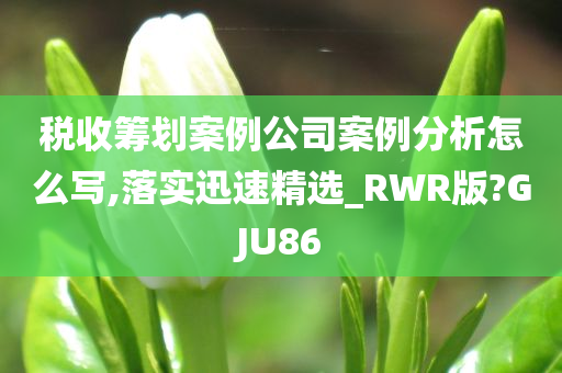 税收筹划案例公司案例分析怎么写,落实迅速精选_RWR版?GJU86