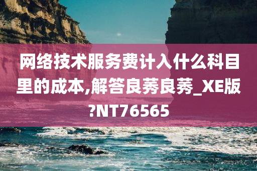 网络技术服务费计入什么科目里的成本,解答良莠良莠_XE版?NT76565