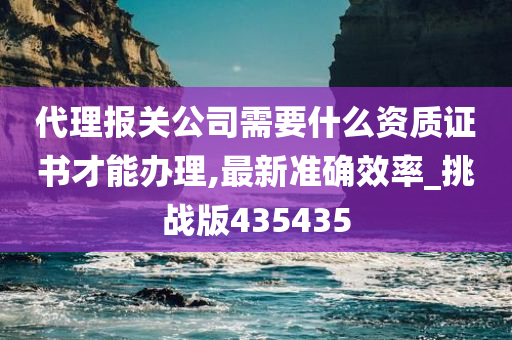 代理报关公司需要什么资质证书才能办理,最新准确效率_挑战版435435