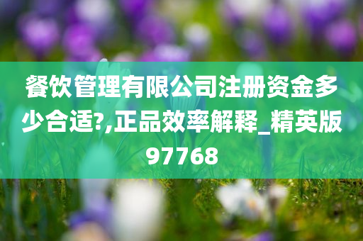 餐饮管理有限公司注册资金多少合适?,正品效率解释_精英版97768