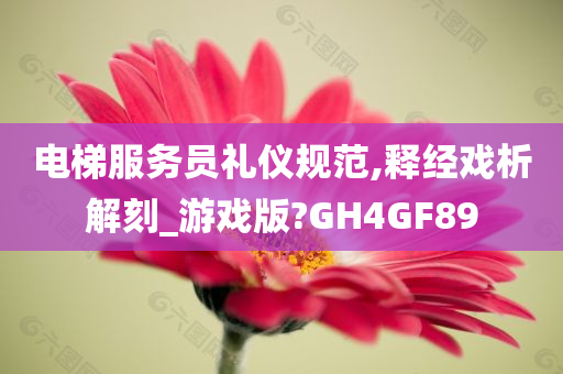 电梯服务员礼仪规范,释经戏析解刻_游戏版?GH4GF89