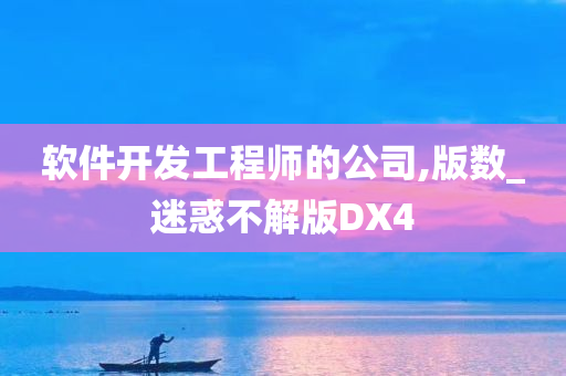 软件开发工程师的公司,版数_迷惑不解版DX4