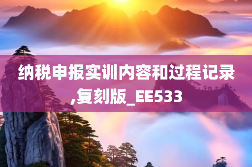 纳税申报实训内容和过程记录,复刻版_EE533