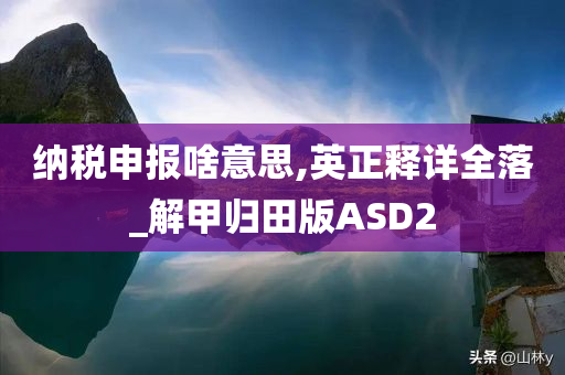 纳税申报啥意思,英正释详全落_解甲归田版ASD2