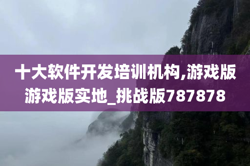 十大软件开发培训机构,游戏版游戏版实地_挑战版787878