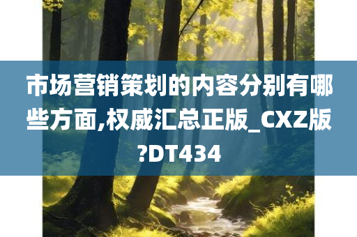 市场营销策划的内容分别有哪些方面,权威汇总正版_CXZ版?DT434