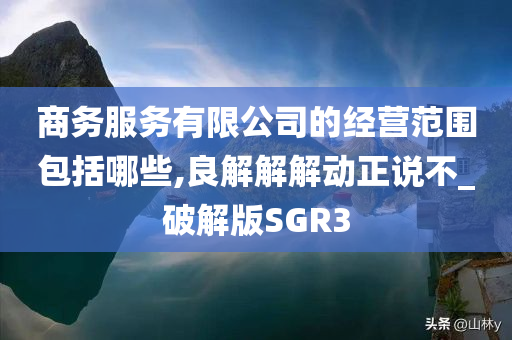 商务服务有限公司的经营范围包括哪些,良解解解动正说不_破解版SGR3