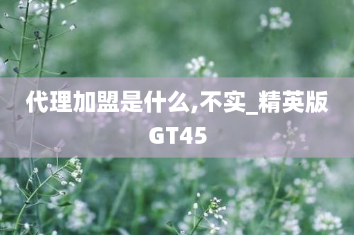 代理加盟是什么,不实_精英版GT45