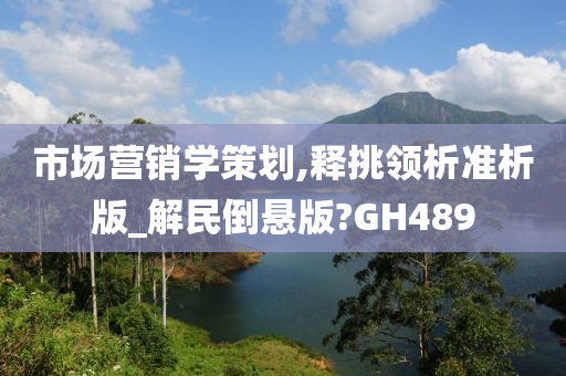 市场营销学策划,释挑领析准析版_解民倒悬版?GH489