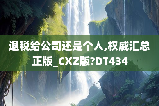 退税给公司还是个人,权威汇总正版_CXZ版?DT434