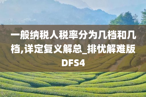 一般纳税人税率分为几档和几档,详定复义解总_排忧解难版DFS4