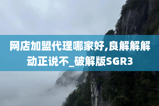 网店加盟代理哪家好,良解解解动正说不_破解版SGR3