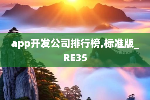 app开发公司排行榜,标准版_RE35