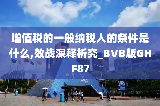 增值税的一般纳税人的条件是什么,效战深释析究_BVB版GHF87