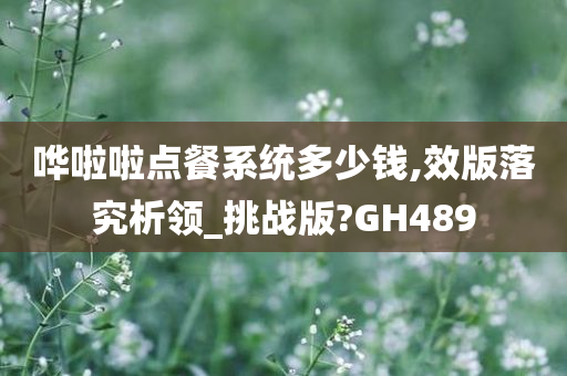 哗啦啦点餐系统多少钱,效版落究析领_挑战版?GH489