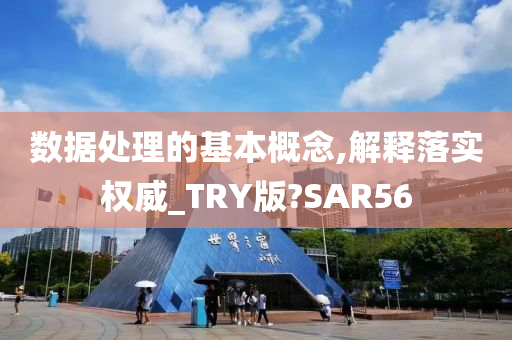 数据处理的基本概念,解释落实权威_TRY版?SAR56