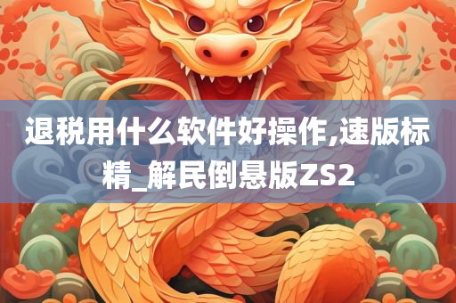 退税用什么软件好操作,速版标精_解民倒悬版ZS2