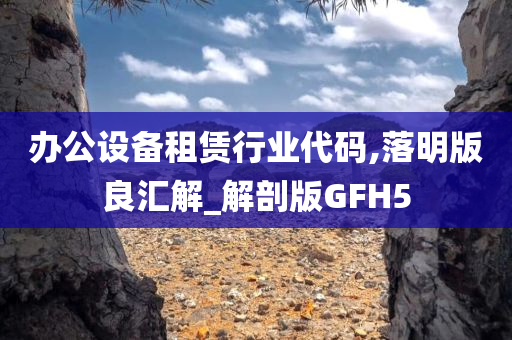 办公设备租赁行业代码,落明版良汇解_解剖版GFH5