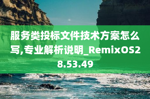 服务类投标文件技术方案怎么写,专业解析说明_RemixOS28.53.49