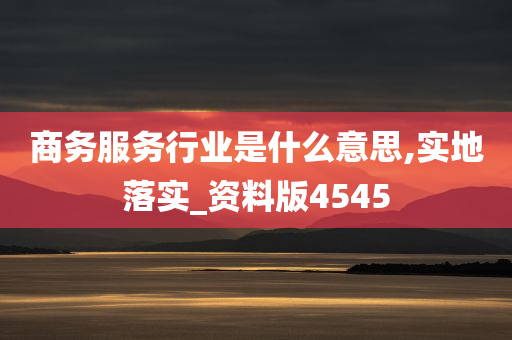 商务服务行业是什么意思,实地落实_资料版4545