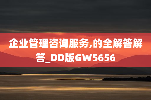 企业管理咨询服务,的全解答解答_DD版GW5656