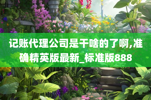 记账代理公司是干啥的了啊,准确精英版最新_标准版888