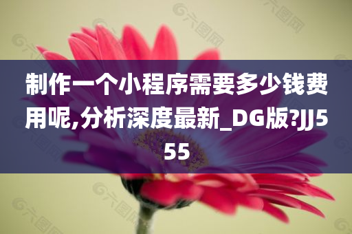 制作一个小程序需要多少钱费用呢,分析深度最新_DG版?JJ555